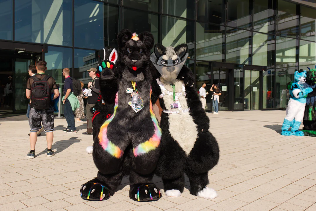 Photo of me in black jaguar fursuit standing next to a dog fursuiter wearing a giant cone of shame