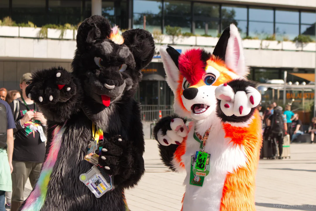 Photo of me in black jaguar fursuit standing next to a red fox fursuiter, both pointing at the camera