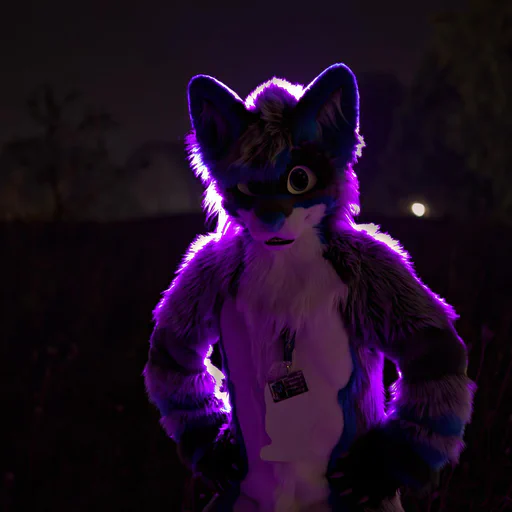 Photo of a wusky fursuiter with light gray fur and blue stripes, hands on his hips, lit with purple backlight.