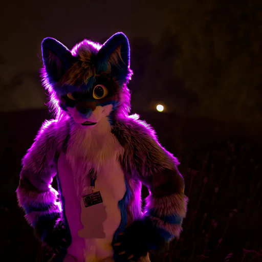 Photo of a wusky fursuiter with light gray fur and blue stripes, hands on his hips, lit with purple backlight.