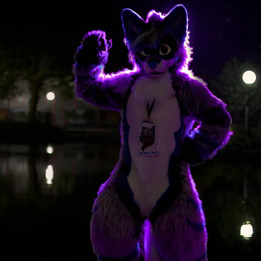 Photo of a wusky fursuiter with light gray fur and blue stripes, one hand raised with the other on his hips in a flexing pose, looking at the camera. He is lit with a purple backlight.