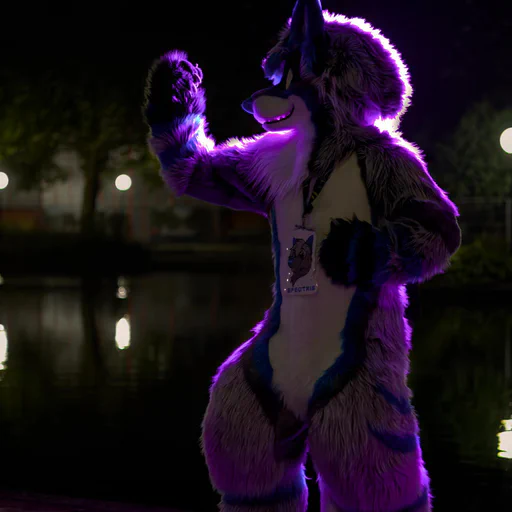 Photo of a wusky fursuiter with light gray fur and blue stripes, one hand raised with the other on his hips in a flexing pose, looking to the side. He is lit with a purple backlight.