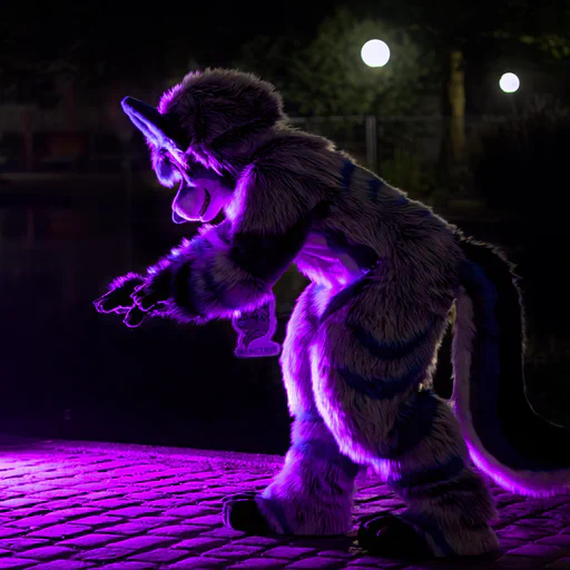 Close-up photo of a wusky fursuiter with light gray fur and blue stripes in side view, crouched down as if about to pounce on something, lit with a purple rim light.