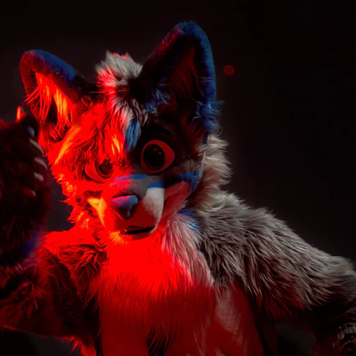 Close-up photo of a wusky fursuiter with light gray fur and blue stripes, one hand raised towards the camera, lit with a red light.