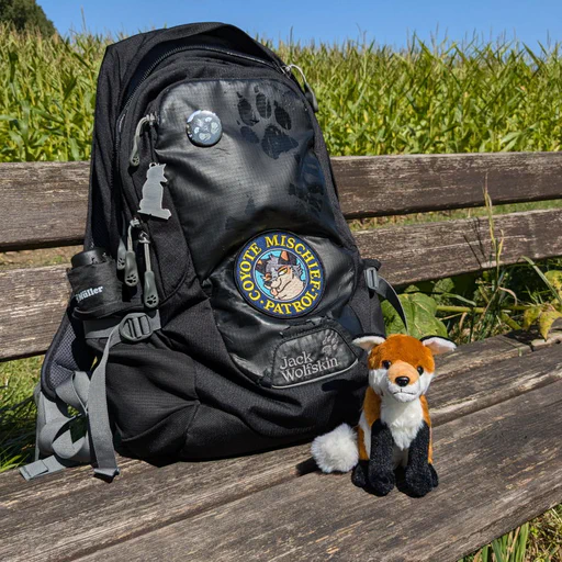 Photo of a red fox plush sitting on a wooden bench next to a black "Jack Wolfskin" backpack. The backpack is decorated with various furry items: a circular "Coyote Mischief Patrol" patch, a black panther "snoot boop" pin, and a steel keychain thingy in the shape of a sitting fox. There's a large cornfield in the background.
